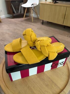 Circus by Sam Edelman Mustard Braided and Wide Band Slide Sandals
